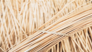 84年出生找属啥的般配(84男鼠和什么生肖最配)