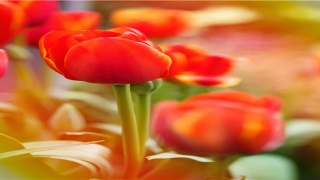 9月21日出生的人很可怕(黄某(19周岁)和赵某(17周岁))