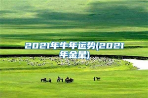 2021年牛年运势(2021年金星)