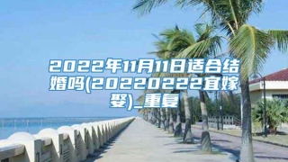 2022年11月11日适合结婚吗(20220222宜嫁娶)_重复