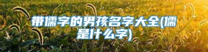带儒字的男孩名字大全(儒是什么字)