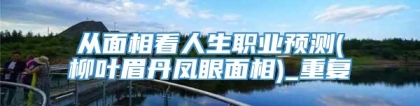 从面相看人生职业预测(柳叶眉丹凤眼面相)_重复