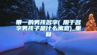 带一的男孩名字(炟用于名字男孩子是什么寓意)_重复