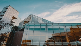 梦到被人欺负(梦到被人欺负被人打)