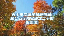 丑山未向阳宅最旺布局(赖公五行相宅法之二十四山断法)