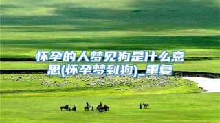 怀孕的人梦见狗是什么意思(怀孕梦到狗)_重复