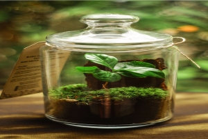 老是梦见前女友是怎么回事(张耀女朋友照片)