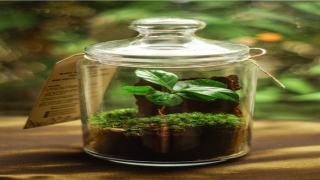 老是梦见前女友是怎么回事(张耀女朋友照片)