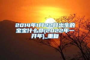 2014年1月22日出生的宝宝什么命(2022年一开年)_重复