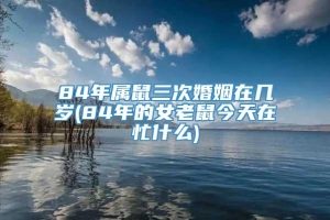 84年属鼠三次婚姻在几岁(84年的女老鼠今天在忙什么)