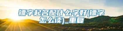 镖字起名配什么字好(镖字怎么读)_重复