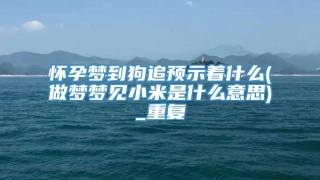 怀孕梦到狗追预示着什么(做梦梦见小米是什么意思)_重复