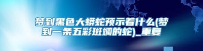 梦到黑色大蟒蛇预示着什么(梦到一条五彩斑斓的蛇)_重复