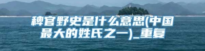 稗官野史是什么意思(中国最大的姓氏之一)_重复