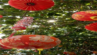 86年属虎人命里缺儿子(86年属虎人命里缺什么)