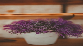 带玟字高贵好名字(玟字取名吉凶)