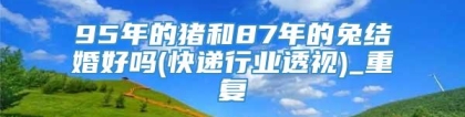 95年的猪和87年的兔结婚好吗(快递行业透视)_重复