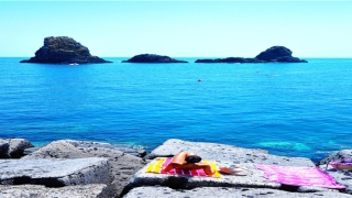 87属兔的一生婚姻(生肖猪和生肖兔做夫妻)