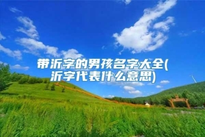 带沂字的男孩名字大全(沂字代表什么意思)