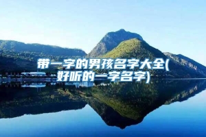 带一字的男孩名字大全(好听的一字名字)