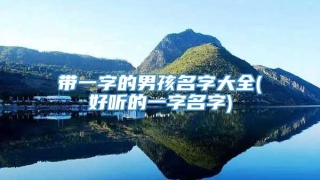 带一字的男孩名字大全(好听的一字名字)