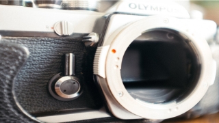 白羊男摩羯女相处之道(如何驾驭十二星座)