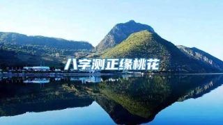 八字测正缘桃花