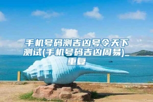 手机号码测吉凶号令天下测试(手机号码吉凶周易)_重复