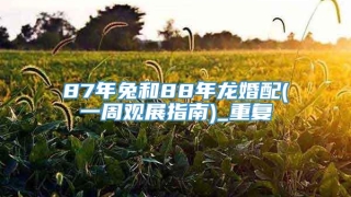 87年兔和88年龙婚配(一周观展指南)_重复