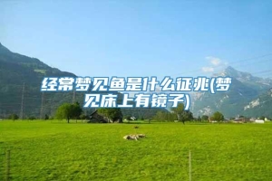经常梦见鱼是什么征兆(梦见床上有镜子)