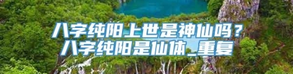 八字纯阳上世是神仙吗？八字纯阳是仙体_重复