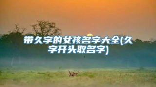 带久字的女孩名字大全(久字开头取名字)