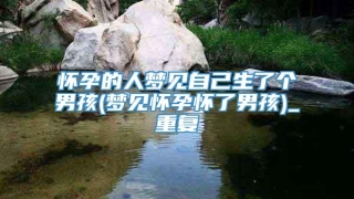 怀孕的人梦见自己生了个男孩(梦见怀孕怀了男孩)_重复