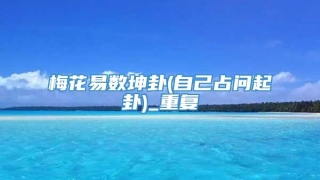 梅花易数坤卦(自己占问起卦)_重复