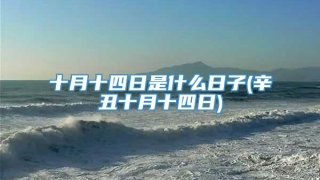 十月十四日是什么日子(辛丑十月十四日)