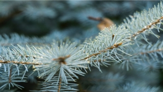 霸道网名字男(很霸道的名字)