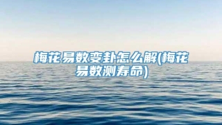 梅花易数变卦怎么解(梅花易数测寿命)