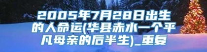 2005年7月28日出生的人命运(华县赤水一个平凡母亲的后半生)_重复