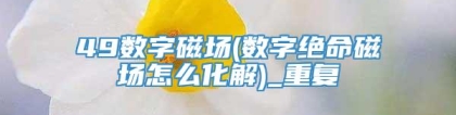 49数字磁场(数字绝命磁场怎么化解)_重复