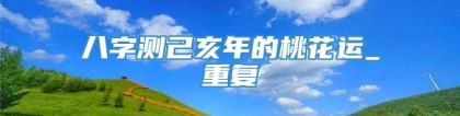 八字测己亥年的桃花运_重复