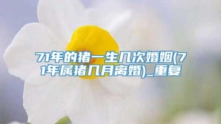 71年的猪一生几次婚姻(71年属猪几月离婚)_重复