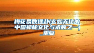 梅花易数摇卦(玄妙无比的中国神秘文化与术数之一)_重复