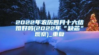 2022年农历四月十六结婚好吗(2022年“缺芯”观察)_重复