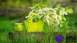 八字财运好坏有何预兆