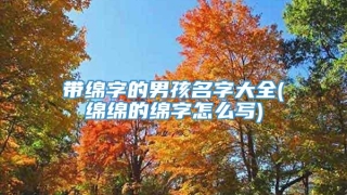 带绵字的男孩名字大全(绵绵的绵字怎么写)