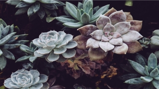 测试一生有几段婚姻(你的选择测出未来你的婚姻家庭)