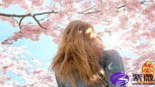 八字测算另一半性格(生辰八字算未来配偶)