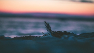 65年属蛇男2020年每月运势(算事业运势)_重复