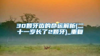 30颗牙齿的命运解析(二十一岁长了2颗牙)_重复