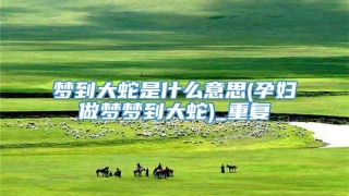 梦到大蛇是什么意思(孕妇做梦梦到大蛇)_重复